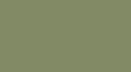 Green Salvia (Verde Salvia) - cod. 44